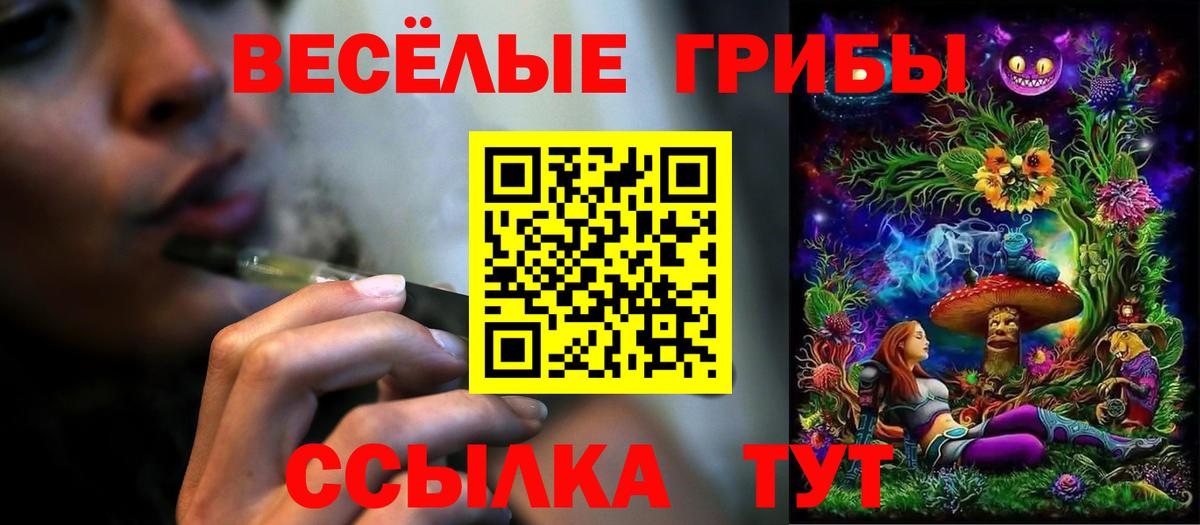 Галлюциногенные грибы Psilocybine cubensis  где продают   Камышин  Вход с VPN 