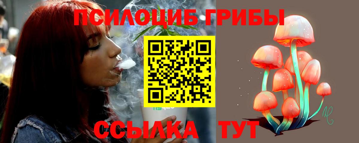 Галлюциногенные грибы мицелий Камышин